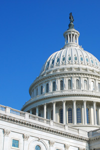 Capitol building in Washington DC